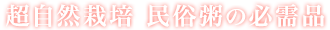 アカーシャ　民俗粥の必需品
