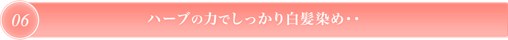 ハーブの力でしっかり白髪染め…