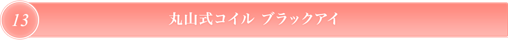 アカーシャ　ブラックアイ
